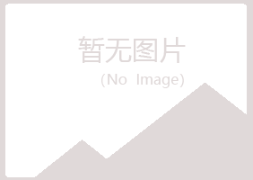 赤城县山柳工程有限公司